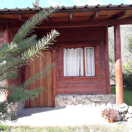 El Jarillal Chalet De Montana A Pasos Del Lago Lago Puelo Esterno foto