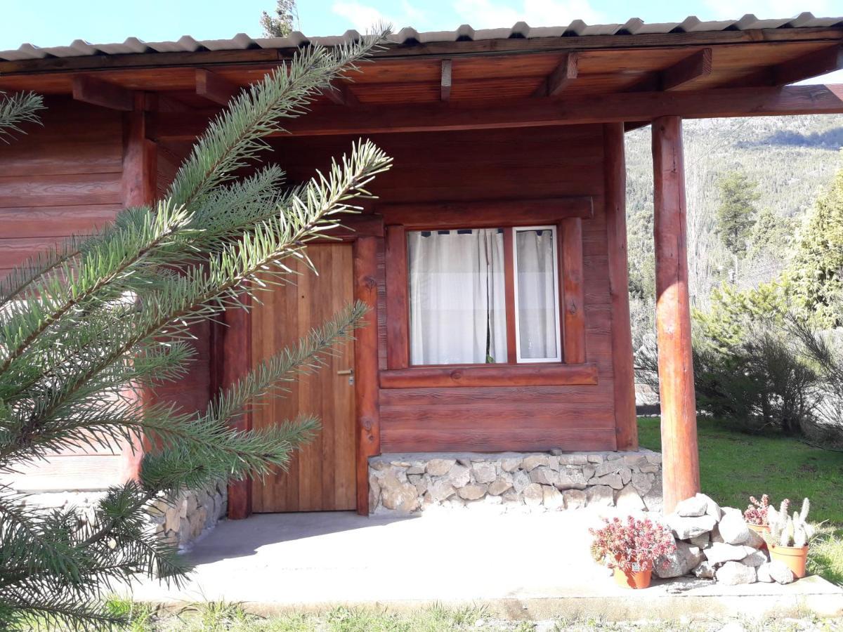 El Jarillal Chalet De Montana A Pasos Del Lago Lago Puelo Esterno foto